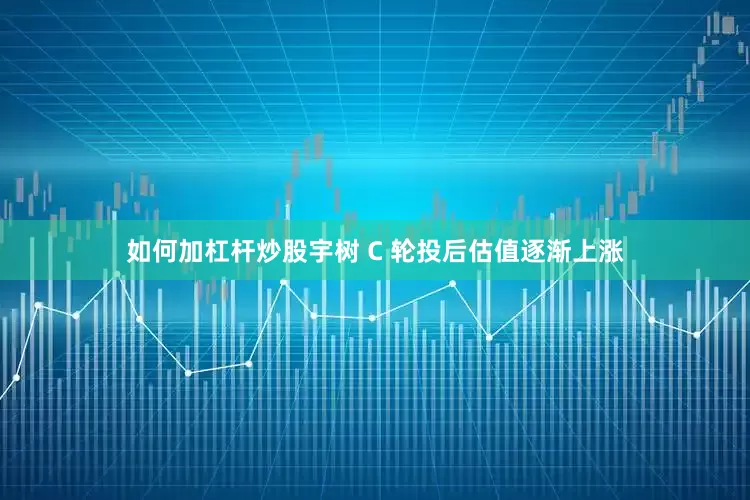 如何加杠杆炒股宇树 C 轮投后估值逐渐上涨