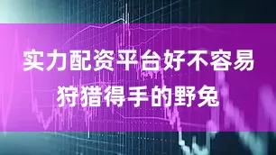 实力配资平台好不容易狩猎得手的野兔