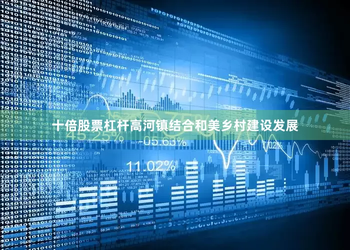 十倍股票杠杆高河镇结合和美乡村建设发展