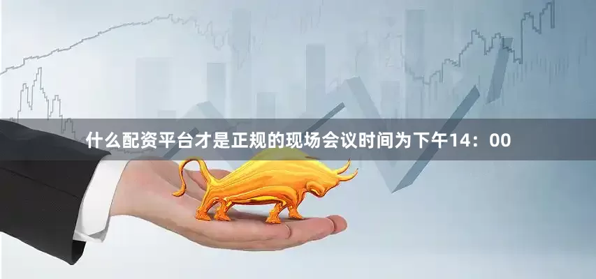 什么配资平台才是正规的现场会议时间为下午14：00