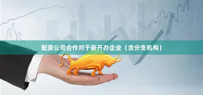 配资公司合作对于新开办企业（含分支机构）