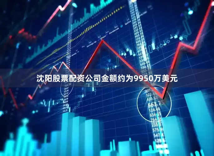 沈阳股票配资公司金额约为9950万美元