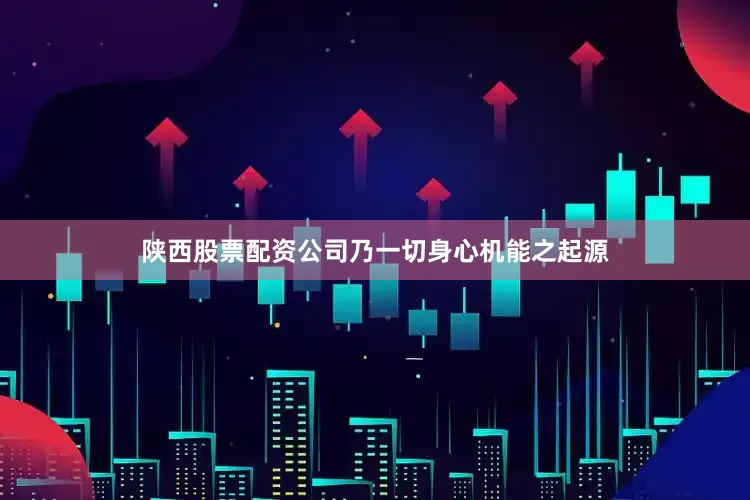 陕西股票配资公司乃一切身心机能之起源