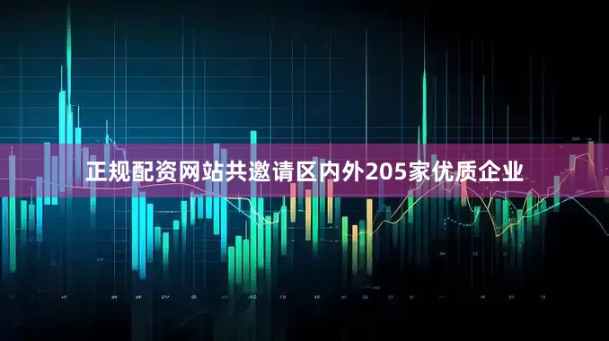 正规配资网站共邀请区内外205家优质企业